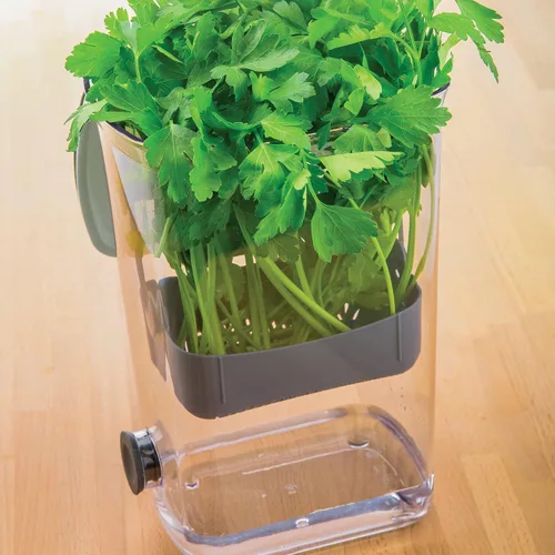 Vista 9 de ProKeeper Herb Keeper - Blanco, con tapón de drenaje de silicona extraíble, plástico sin BPA
