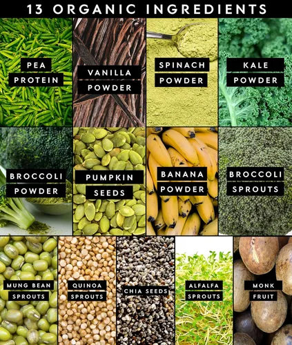 Vista 4 de Truvani Proteína + Suplemento de Verduras Espinaca, Col Rizada y Brócoli 10g de Proteína Orgánica a Base de Plantas 20 Porciones USDA