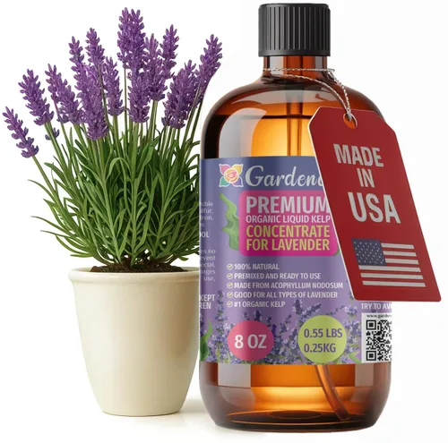 Vista 27 de GARDENERA Superalimento orgánico prémium de algas marinas y algas marinas para plantas AROID - 32 oz - Concentrado de fertilizante líquido de algas