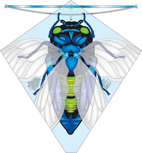 Vista 3 de X Kites Buzz Kites® - Cometa de polietileno surtida