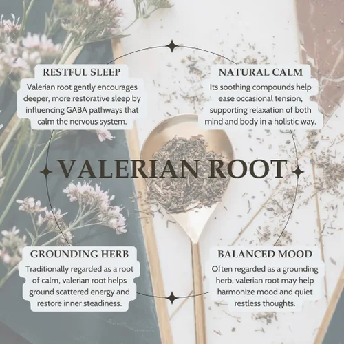 Vista 3 de Elanen Naturals Raíz de valeriana orgánica, 4 onzas (3.99 oz), té de hierbas de raíz de valeriana orgánica certificado por USDA, Te De Valeriana