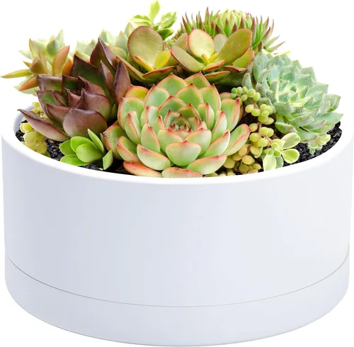 Vista 9 de D'vine Dev - Maceta redonda para suculentas de 8 pulgadas, color negro, 76-Z-B-1 Wide Bowl Design, Thick-Walled Durable Construction, Enhanced