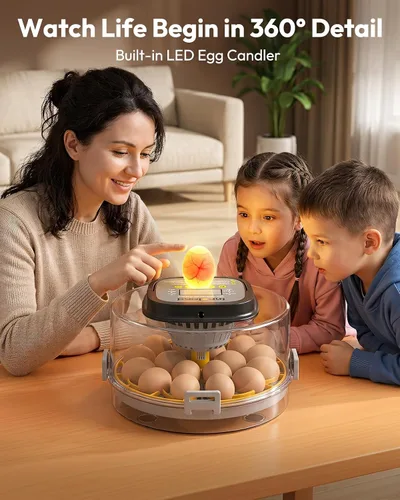 Vista 10 de 18 Egg Incubator for Hatching Eggs with Humidity & Temperature Control