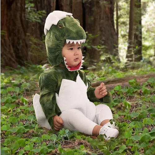 Vista 3 de Honadar Disfraz de huevo de dinosaurio para bebé recién nacido, disfraz de T-Rex verde para Halloween