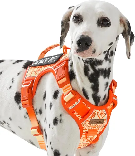 Vista 30 de Arnés para perro sin tirones para perros de tamaño pequeño, chaleco ajustable para caminar fácilmente, material Oxford transpirable, tiras Verde