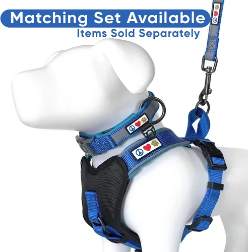 Vista 7 de Arnés para perro Pawtitas para entrenamiento de suave, ajustable, reflectante, acolchado para cachorros, Azul