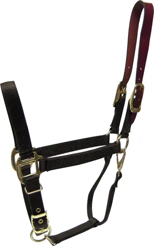 Vista 3 de Hamilton Cabestro ajustable de nailon de 1 pulgada con cabeza de cuero y broche de garganta, grande, negro