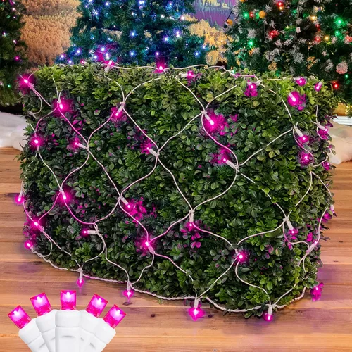 Vista 19 de Novelty Lights Luces de red de 2 x 10, 100 LED de color blanco cálido con espacio de 4 pulgadas, bombillas de gran angular de 0.197 in en cable