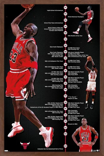 Vista 10 de Trends International Michael Jordan - Póster de pared de línea de tiempo, 14.725 x 22.375 pulgadas, versión enmarcada de madera de granero
