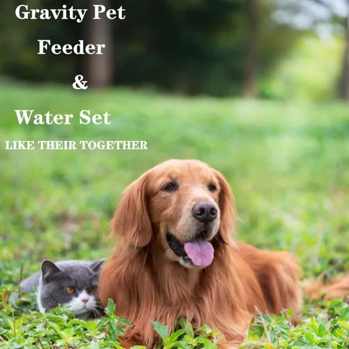 Vista 6 de iGeekPet Care-NeverMissMeal - Juego de comedero y dispensador de agua para mascotas por gravedad, alimentador automático para perros y dispensador