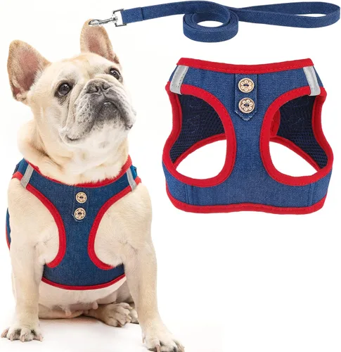 Vista 45 de PUPTECK Juego de arnés y correa para perros pequeños y medianos, sin