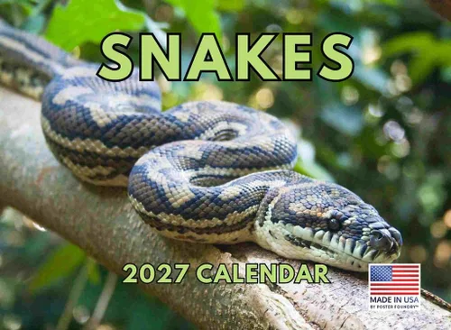 Vista 34 de Calendario mensual de pared de alpaca 2025 Fabricado en Estados Unidos