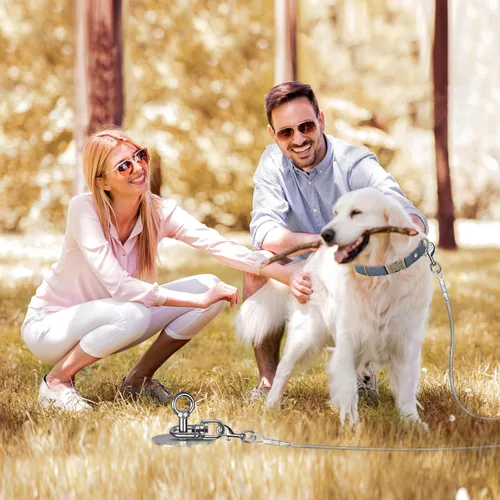 Vista 6 de SELEWARE Cable de amarre y estaca para perros, anclaje giratorio de 17 pulgadas a prueba de óxido con cable resistente de 15 pies para perros
