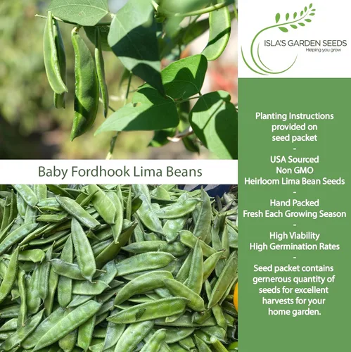 Vista 2 de Baby Fordhook - Semillas de frijol Lima para plantar, 25 semillas tradicionales por paquete, semillas de jardín de Isla