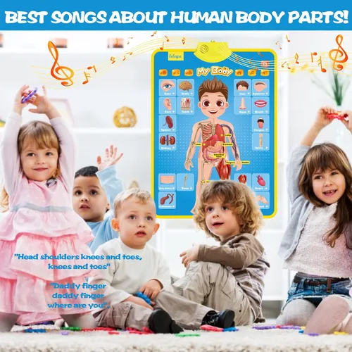 Vista 7 de My Body - Póster educativo interactivo para niños pequeños y niños para aprender partes del cuerpo, órganos, músculos y huesos, 16 x 22 pulgadas