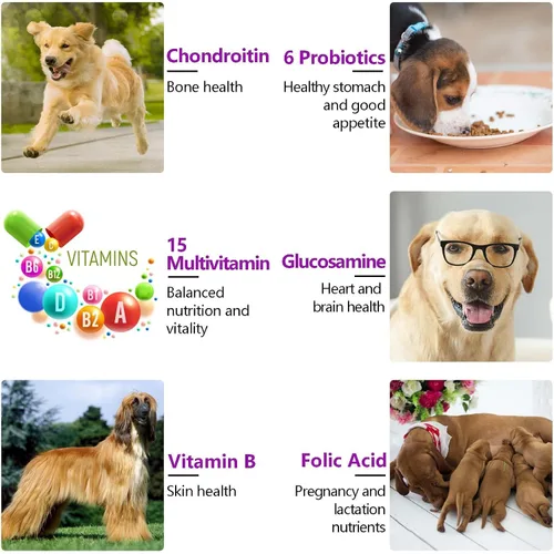 Vista 6 de Multivitamínico masticable para perros, vitaminas y suplementos diarios para perros, suplemento diario completo 15 en 1 con glucosamina