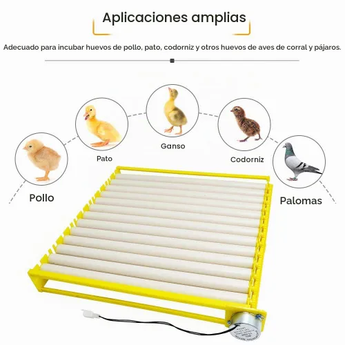 Vista 2 de HBtree - Bandeja de huevos para incubadora multifunción automática para pollos/patos/pájaros/aves de corral (13 tubos)