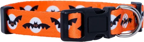 Vista 44 de Native Pup Collar de Perro con Bandera Americana - Rojo, Blanco y Azul - Collares Patrióticos para el 4 de Julio, EE.UU. - Ajustable para Perros