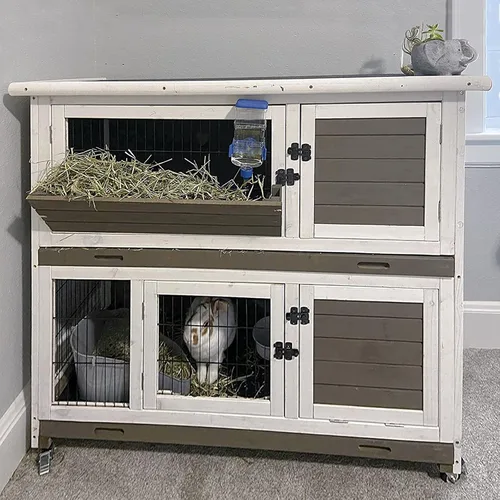Vista 2 de Aivituvin Rabbit Hutch - Jaula para conejillo de indias para interiores y exteriores, con bandeja extraíble profunda sin fugas, 2 pisos