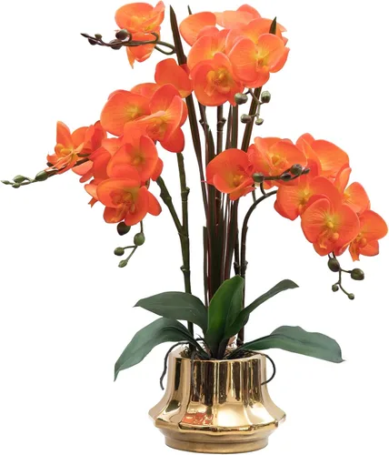 Vista 8 de CXGS Planta de orquídeas artificiales de 20.9 pulgadas, orquídeas artificiales de tacto real en jarrón de cerámica, arreglo floral de Phalaenopsis