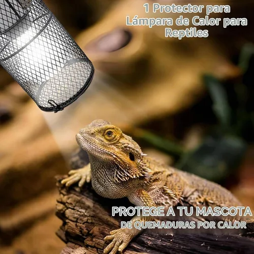 Vista 6 de Kathson - Protector de lámpara de calor para reptiles, antiescaldado