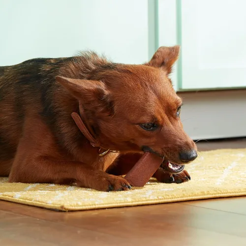 Vista 6 de Nutrish Rachael Ray Soup Bones - Golosinas para perros, sabor a carne y cebada, 6 huesos (paquete de 2)