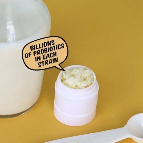 Vista 2 de Granos de kéfir de leche viva, cultivo básico reutilizable (1 cucharadita) Probiótico natural más fuerte.