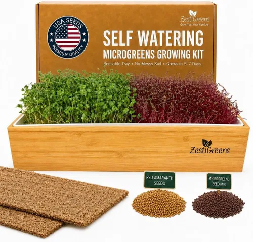 Vista 9 de Kit de cultivo de microgreens de riego automático, la forma más fácil de cultivar microverduras frescas en casa. Incluye bandeja reutilizable
