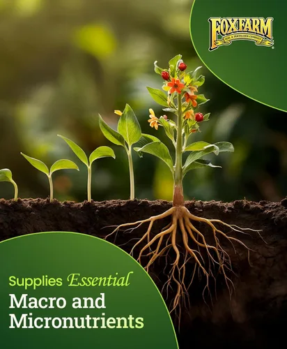 Vista 6 de FoxFarm Bushdoctor Kangaroots - Líquido para remojar raíces - Inoculante de raíces para desarrollar masa radicular, lleno de microbios y nutrientes