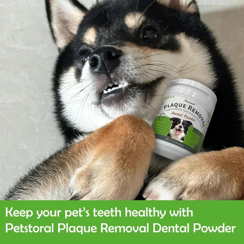 Vista 8 de Petstoral Polvo dental natural para perros, cuidado dental para perros, removedor de placa y tratamiento para el mal aliento, encías saludables