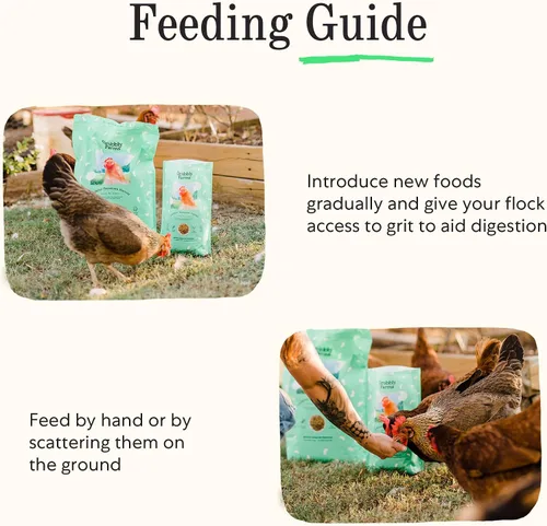 Vista 7 de Grubbly Farms Grubblies - Larvas de mosca soldado negro para pollos - Golosinas de pollo cultivadas en los Estados Unidos y Canadá - para cáscaras