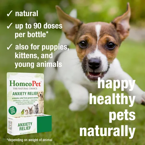 Vista 4 de HomeoPet Medicina para aliviar la ansiedad para mascotas, alivio natural de la ansiedad para perros y gatos, medicina calmante para gatos y perros