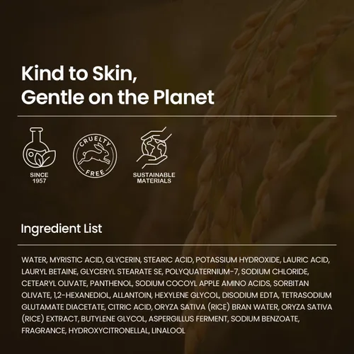 Vista 8 de SKINFOOD Espuma de limpieza diaria de arroz, 5.1 fl oz, limpieza delicada, fina y suave iluminadora con ingredientes de arroz blanco fermentado
