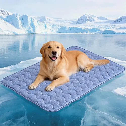 Vista 10 de Cama autocalentable para gatos y perros pequeños, tapete lavable de 2-Gris