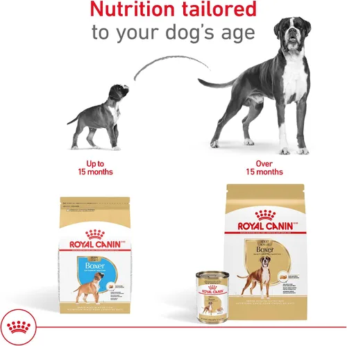 Vista 7 de ROYAL CANIN Boxer Puppy - Alimento seco para perros, bolsa de 30 libras