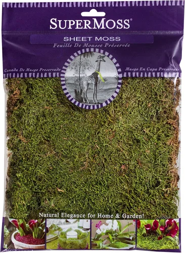 Vista 7 de Super Moss (21508) Panel de musgo conservado, fresco, color verde. De 20 a 24 pies cuadrados y 3,5 libras.