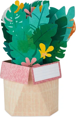 Vista 3 de Hallmark Paper Wonder Shoebox Golden Girls - Tarjeta desplegable (Thank You for Being a Friend)