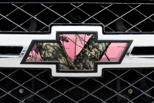 Vista 14 de Mossy Oak Graphics 14010-BI Break-Up Infinity Piel de emblema de auto, Blaze