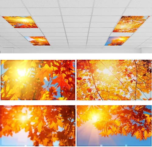Vista 11 de ROCEEI Paquete de 4 cubiertas de luz fluorescente para luces de techo, 4 x 2 pies, cubiertas magnéticas de luz para aula, oficina, hogar, escuela