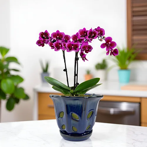 Vista 4 de Ceramic Orchid Pots with Holes 6 inch (Dark Blue)