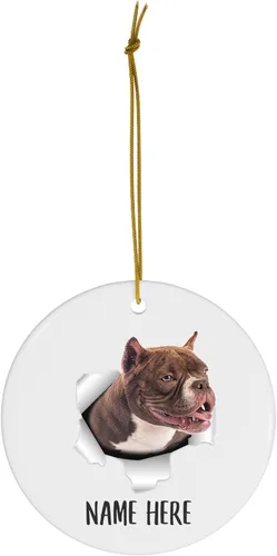 Vista 2 de Personalized Name American Bully Red Brown Christmas Tree Ornaments Circle Ceramic Decorations Gifts for Dog Lovers Owners