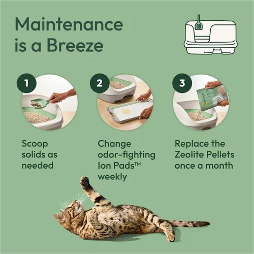 Vista 6 de Purina Tidy Cats - Sistema de arena para gatos, Breeze XL todo en uno con control de olores y fácil de limpiar, no aglutinante, caja de 18 libras