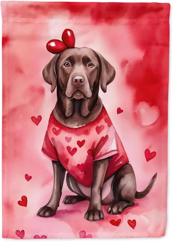 Vista 32 de Caroline's Treasures DAC5252GF Affenpinscher - Bandera de jardín con texto en inglés "My Valentine", bandera decorativa para patio exterior, patio
