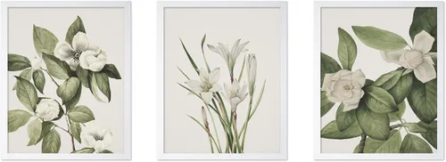 Vista 34 de Poster Master Póster botánico vintage de 3 piezas, estampado floral retro, regalo para artistas, amigos, flores de acuarela, brillante, azul
