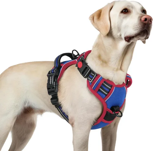 Vista 34 de Rabbitgoo - Arnés para perro de tamaño pequeño, arnés para mascotas sin tirones con 3 hebillas, chaleco acolchado suave ajustable con mango