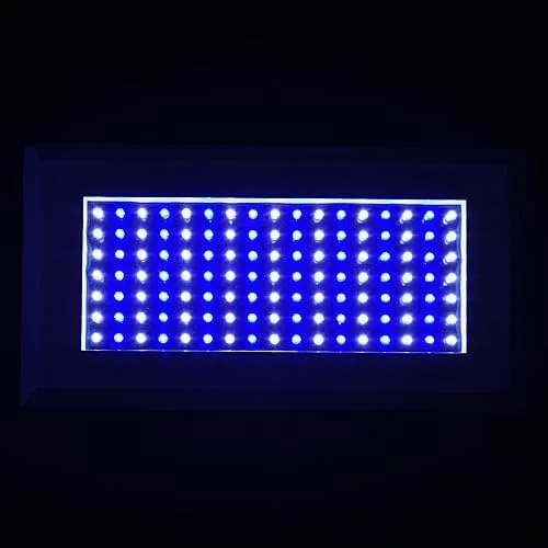 Vista 4 de Luz blanca y azul del acuario del poder más elevado LED, 2512W+B