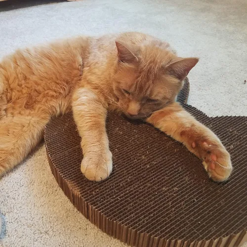 Vista 3 de Rascador para gatos de Americat – Almohadilla rascadora y tumbona de cartón fabricado en Estados Unidos – XL, 2 lados, pesado, sin desprendimiento