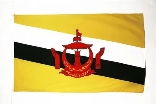 Vista 7 de AZ FLAG Bandera de Afganistán 2' x 3' - Banderas afganas 23.6 x 35.4 in - Banner 2x3 ft