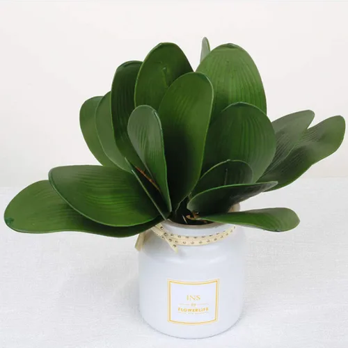 Vista 3 de FagusHome 6 hojas de orquídeas artificiales Phalaenopsis de 11 pulgadas, hojas de orquídeas artificiales verdes (6 piezas)