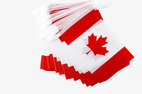 Vista 3 de Bandera de Canadá, bandera canadiense, 100 pies/76 unidades de banderines nacionales del mundo del país, suministros de decoración de fiesta